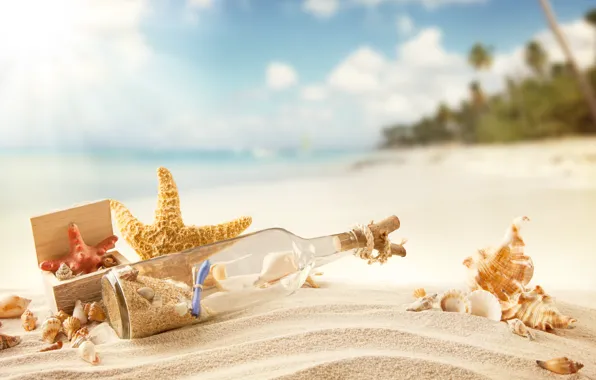 Picture sand, sea, beach, summer, the sun, stay, shore, shell, summer, sunshine, beach, sand, message, vacation, …