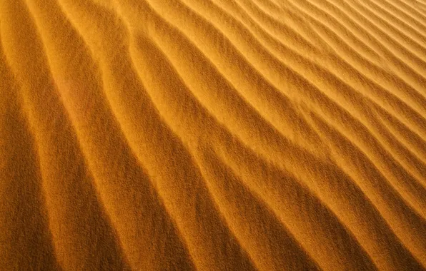 Picture sand, orange, yellow, the dunes, the wind, shore, coast, desert, minimalism, texture, dust, yellow, texture, …