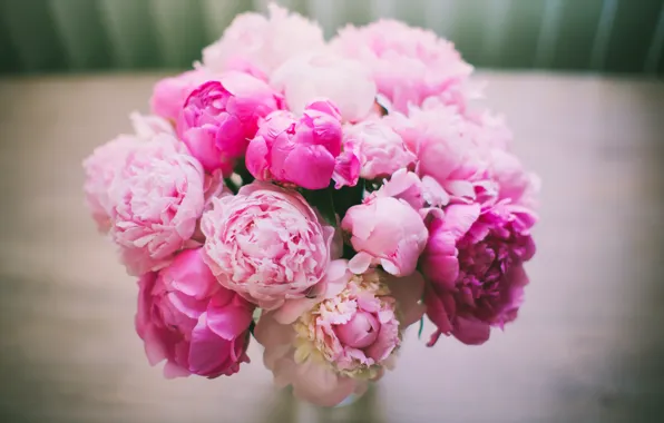 Picture flowers, bouquet, petals, pink, Peonies