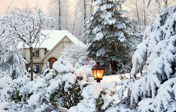 Picture winter, the sky, snow, trees, landscape, nature, house, Park, garden, lantern, house, white, sky, trees, …