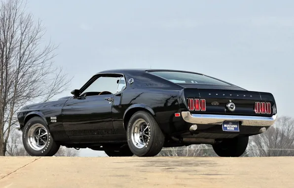 Picture black, mustang, Mustang, 1969, back, ford, muscle car, black, Ford, muscle car, boss, 429