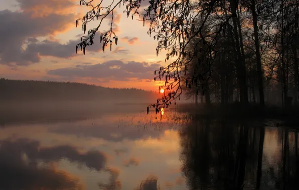 Picture sunset, nature, lake, Nature, sunset, lake