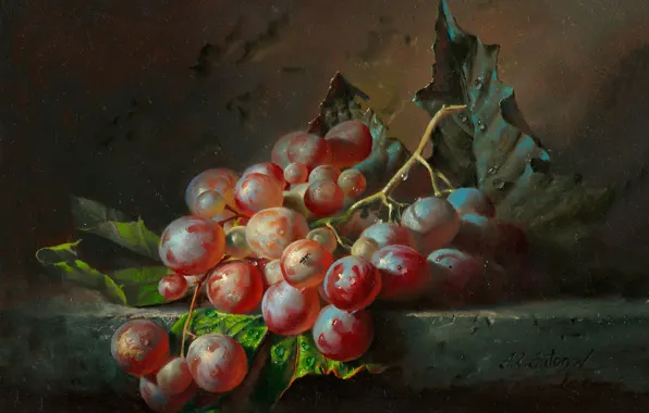 Picture nature, grapes, painting, art, Alexei Antonov