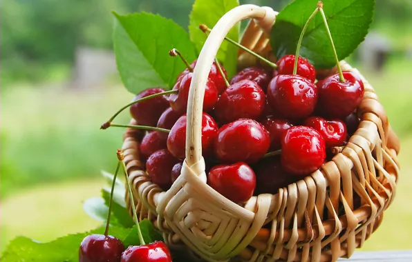 Picture cherry, berries, basket, fresh, cherry, sweet, cherry, berries