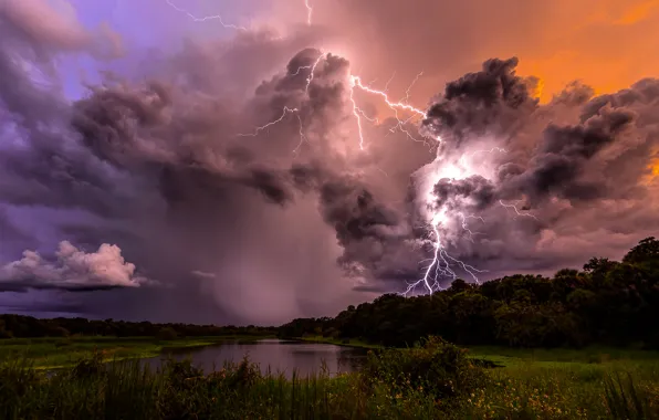 Picture the sky, clouds, trees, clouds, storm, nature, lake, zipper, the evening, The storm