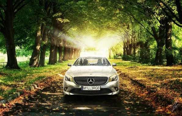 Picture Mercedes-Benz, The sun, Grass, Trees, Leaves, Car, Grass, Car, AMG, Sun, Trees, Class, Premium, CLA, …