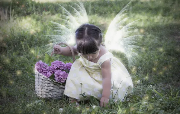 Picture flowers, mood, girl, basket, wings, hydrangeas, little fairy