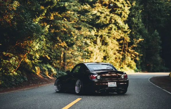 Picture road, the sun, trees, back, Honda, S2000