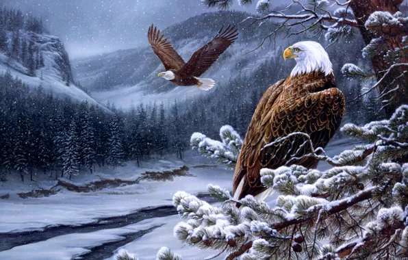 Picture winter, forest, mountains, eagle, ate, eagle, painting, the eagles, bumps, river, pine, winter, painting, eagles, …