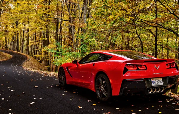 Picture road, car, autumn, forest, leaves, trees, corvette, forest, car, chevrolet, road, trees, nature, autumn, leaves