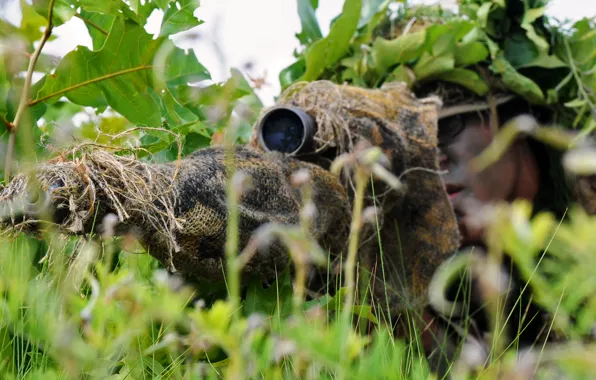 Picture grass, ambush, disguise, sniper, sight, rifle