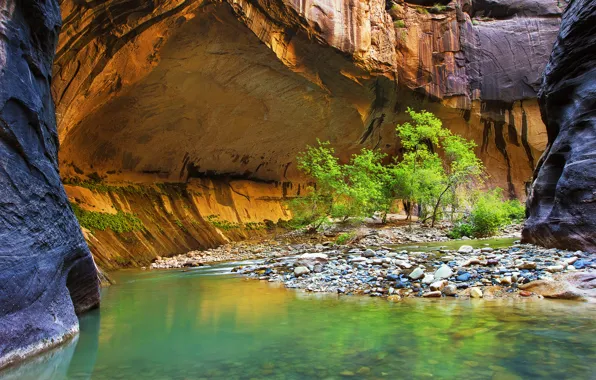 Picture leaves, trees, river, stones, rocks, canyon