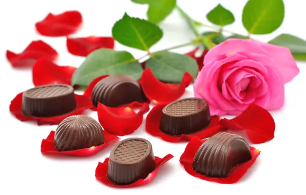 Picture flowers, chocolate, beauty, bouquet, candy, rose, beautiful, beautiful, chocolate, petals