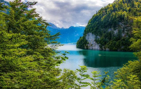 Picture trees, mountains, lake, Germany, Bayern, Germany, Bavaria, Bavarian Alps, The Bavarian Alps, Königssee lake, lake …