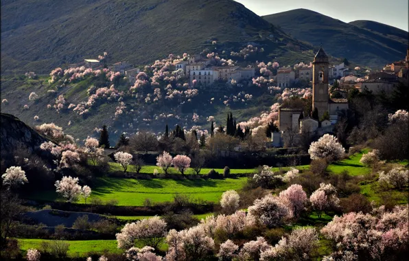 Picture trees, mountains, the city, spring, flowering, Italia, Santo Stefano di Sessanio
