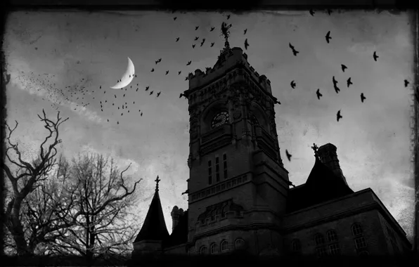 Picture night, castle, Gothic, crows
