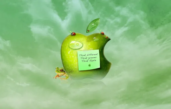 Picture apple, frog, Apple, leaf
