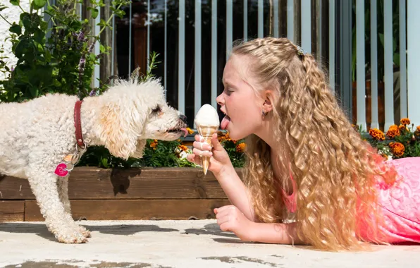 Picture each, dog, ice cream, girl