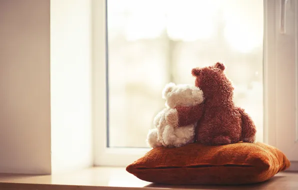 Picture love, toy, bear, window, bear, pair, pillow, love, friends, toy, bear, couple, window, cute, friends, …