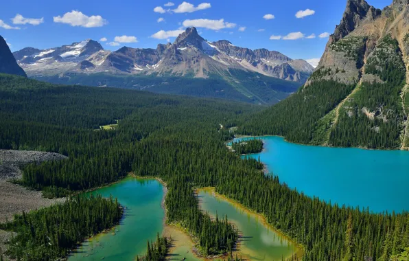 Picture forest, landscape, mountains, lake, Canada, Yoho National Park