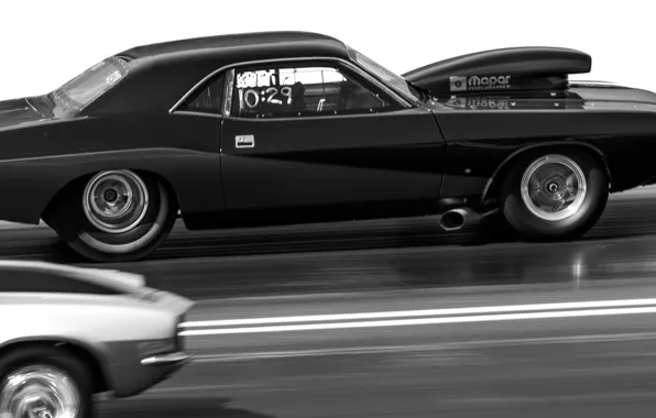 Picture race, muscle car, Muscle car, drag racing