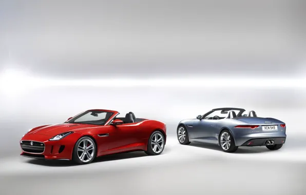 Picture red, background, Jaguar, silver, Jaguar, Roadster, rear view, the front, F-tayp, F-Type