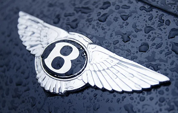 Picture water, drops, Bentley, logo, the hood, icon