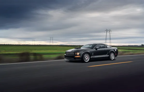 Picture Mustang, Ford, Muscle, Car, Speed, Front, Grey, Road, Collection, Aristo, GT 350