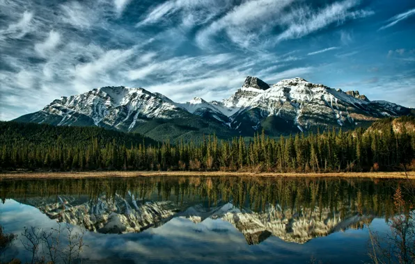 Picture forest, the sky, clouds, trees, mountains, nature, lake, reflection, blue, Canada, Albert, Alberta, forest, Canada, …