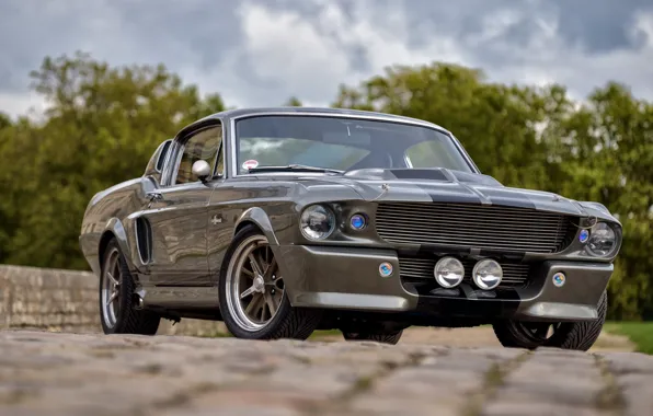 Picture Mustang, Ford, Shelby, GT500, USA, Eleanor, Muscle Car, Classic Car