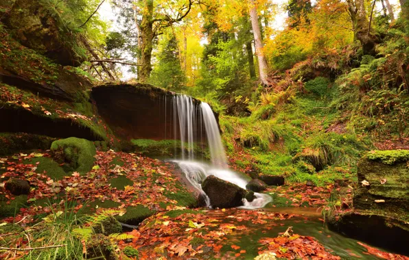 Picture autumn, forest, leaves, waterfall, Germany, Germany, Baden-Württemberg, Baden-Württemberg, Hasel, Hazel,