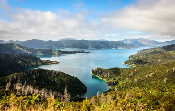 Picture sea, Islands, New Zealand, Marlborough