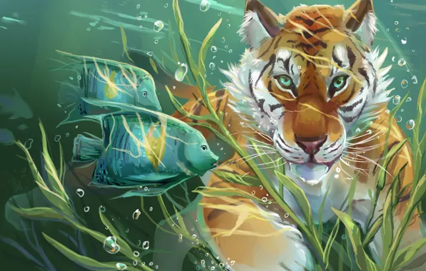 Picture water, fish, tiger, art, art