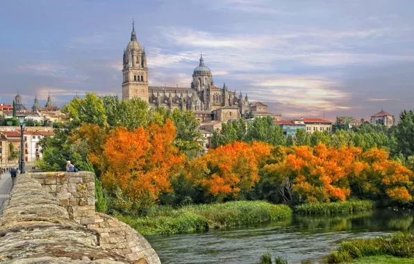 Picture autumn, trees, bridge, river, Cathedral, Spain, the parapet, Spain, Salamanca, Salamanca, New Cathedral of Salamanca, …