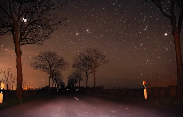 Picture road, the sky, trees, the moon, stars, Night, moon, road, sky, trees, night, stars