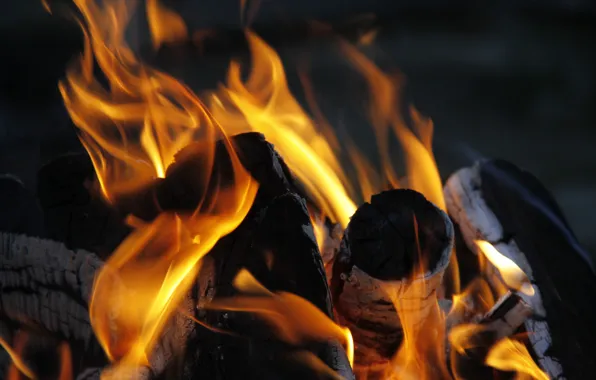 Picture macro, background, fire, Wallpaper, the fire, wood, coal, flame, flames