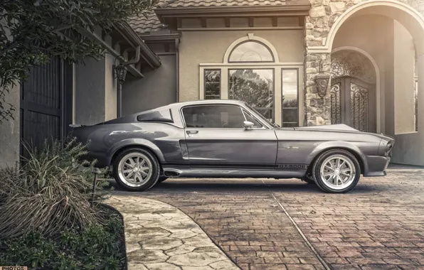 Picture Ford, Shelby, Ford, Eleanor, GT 500, Side, Muscle car, Shelby, Muscle Car, Silver, Silver