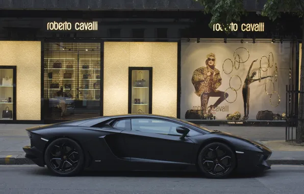 Picture street, profile, lamborghini, street, aventador, Lamborghini, aventador, shop, matte black, black matte, Roberto Cavalli, lp700, …