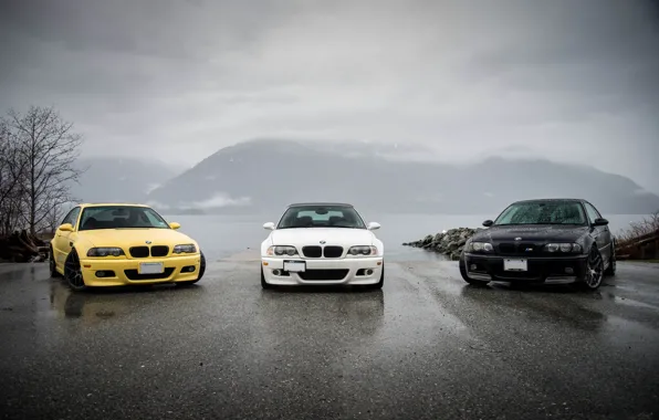 Picture white, reflection, yellow, black, bmw, shadow, BMW, white, black, front view, yellow, e46