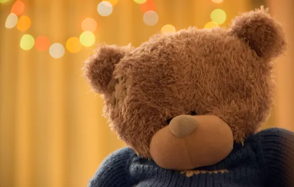 Picture bear, bear, bear, teddy, soft toy, Teddy bear