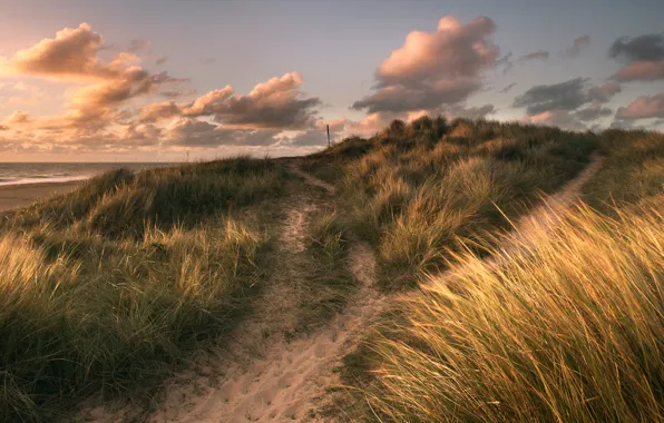 Picture sand, sea, grass, clouds, shore, treatment, Winterton Light