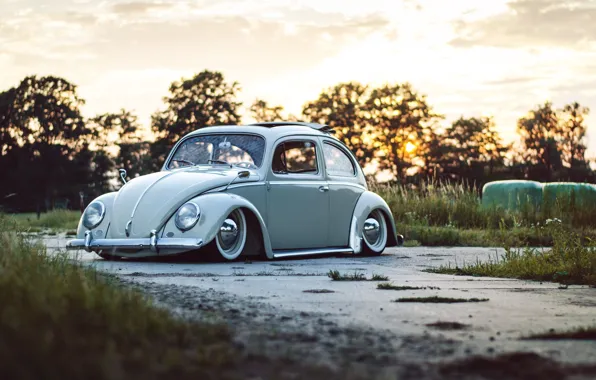Picture road, the sky, trees, sunset, Volkswagen, wheel, Beetle, sunroof