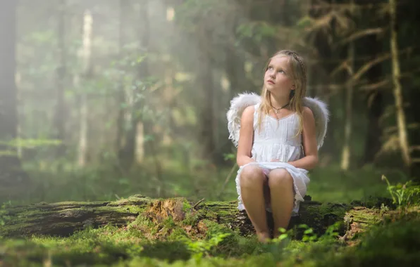 Picture forest, wings, angel, girl