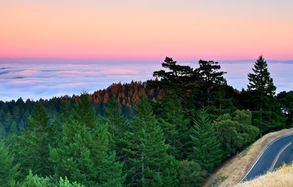Picture road, forest, clouds, sunset, mountains, fog, the ocean, ate, Bay, pine, california, CA, quiet