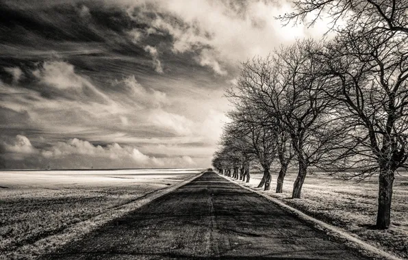 Picture road, field, trees, Infinity, infinity