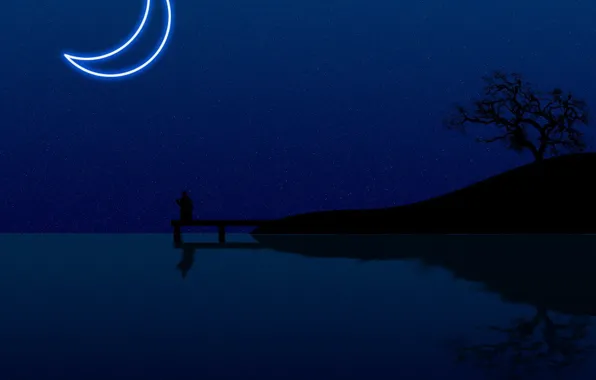 Picture water, night, the moon, minimalism, vector