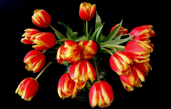 Picture flowers, orange, yellow, red, bouquet, tulips, vase, black background