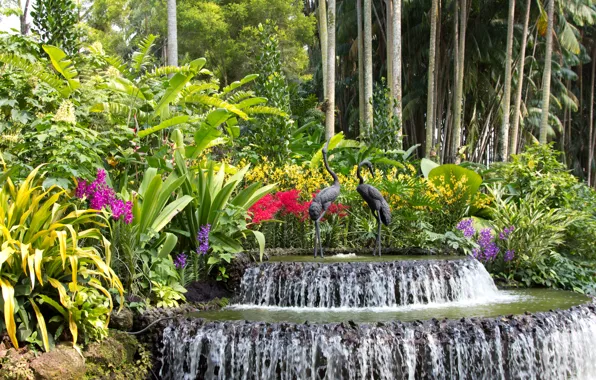Picture trees, flowers, birds, waterfall, garden, Singapore, fountain, orchids, the bushes, sculpture, Botanic Gardens