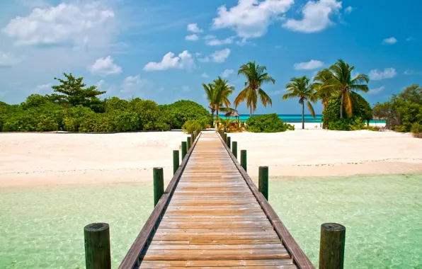 Picture beach, the sky, bridge, palm trees, blue, landscapes, island, exotic, Beautiful pontoon
