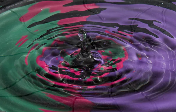 Picture water, color, drop, splash, the volume